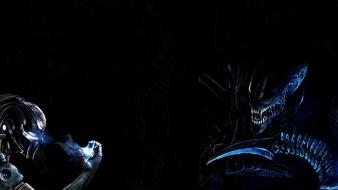Alien predator science fiction wallpaper