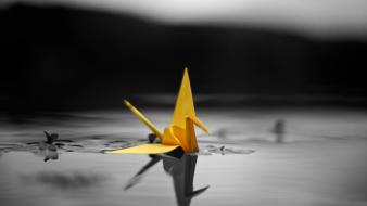 Color splash macro origami scotfield selective coloring wallpaper