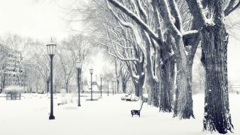 Nature parks snow white winter wallpaper