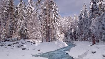 Mount rainier national park washington nature snow wallpaper
