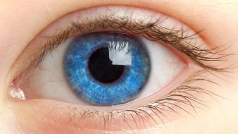 Blue eyes macro wallpaper