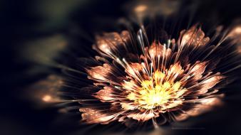 Digital art flowers fractals wallpaper