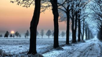 Landscapes nature roads skylines snow wallpaper
