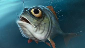 3d fish wallpaper