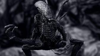 Aliens action figures toys children wallpaper