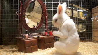 Banksy bunnies funny wallpaper