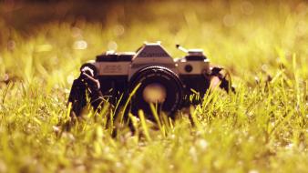 Canon cameras grass lomo macro wallpaper