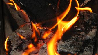 Coal fire macro wood wallpaper