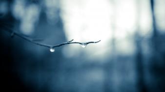 Drop landscapes tears water drops wallpaper
