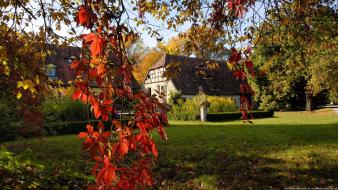 Landscapes leaves nature wallpaper
