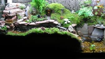 Bag end the shire plants wallpaper