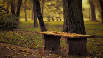 Bench garden landscapes nature parks wallpaper