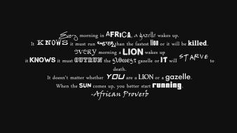 Gazelle morning proverb quotes running wallpaper