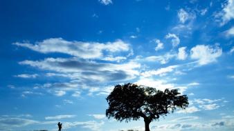 Portugal blue landscapes lonely silhouettes wallpaper