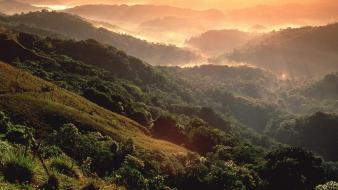 Puerto rico mountains rainforest wallpaper