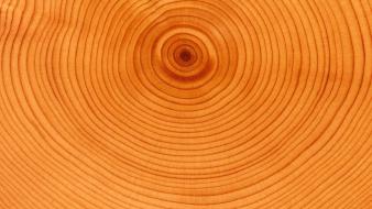 Rings textures wood wallpaper