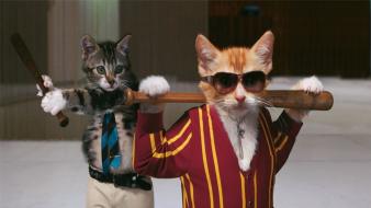 Fight club artwork cats funny kittens wallpaper