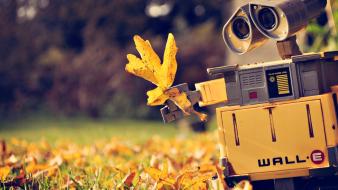 Walle autumn cartoons robots wallpaper
