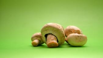 Food green background mushrooms plants simple wallpaper