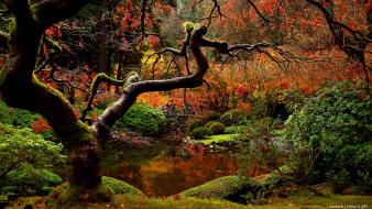 Autumn bridges nature wallpaper