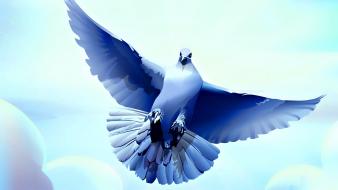 Birds digital art pigeons vector wallpaper