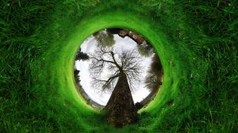 Fisheye circle grass panorama trees wallpaper