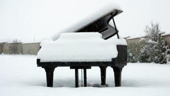 Flowers piano snow winter wallpaper