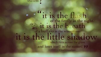 Philosophy poetry quotes text typography wallpaper