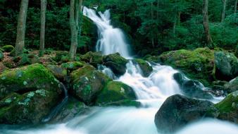 Falls great smoky mountains creek north carolina wallpaper