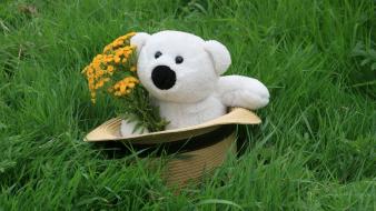 Grass teddy bears wallpaper