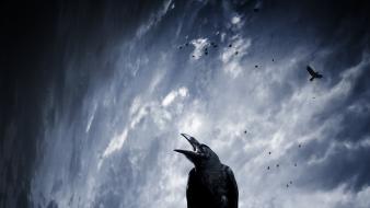 Grim reaper wallpaper