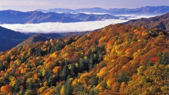 National park great smoky mountains north carolina wallpaper