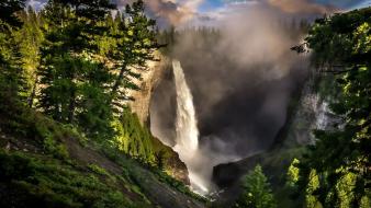 Steam trees waterfalls wallpaper