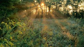 Sunrise tennessee wallpaper