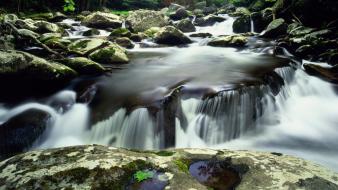 Tennessee national park great smoky mountains scene wallpaper