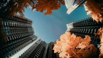 Trees cityscapes multicolor yiu yu hoi wallpaper