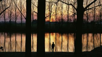 Trees silhouette lakes gathering wallpaper