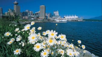 Water flowers city skyline cities white wallpaper