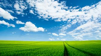 Clouds nature summer wallpaper