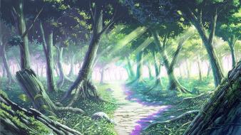 Daylight flowers forests grass plants wallpaper