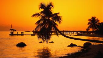 Florida keys nature silhouettes sunset wallpaper