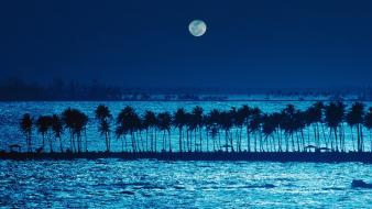 Puerto rico landscapes moonlight nature palm trees wallpaper