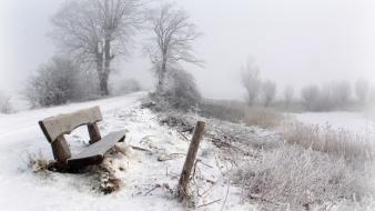 Bench snow wallpaper