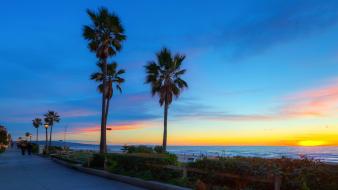 California beaches palm trees wallpaper