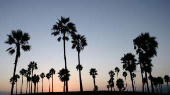 California sun clouds fields grass wallpaper