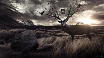 Desktopography animals landscapes wallpaper