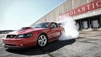 Ford mustang mach 1 automobiles cars races wallpaper