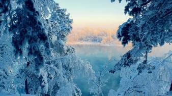 Forests frozen lake lakes landscapes wallpaper