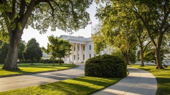 The white house architecture green sidewalk wallpaper