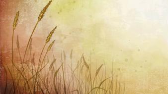 Artwork wheat wallpaper